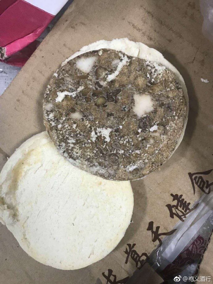 爸爸和爸爸筆趣閣