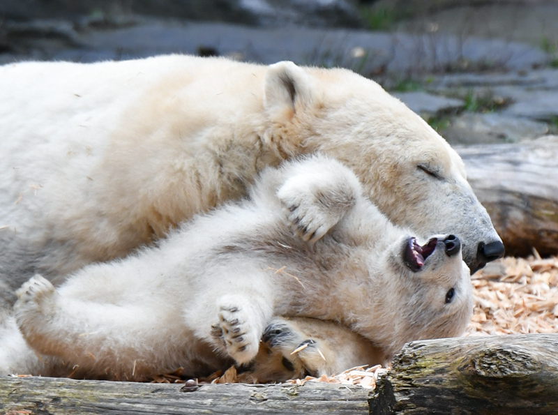 《阿梨》----李寂v5