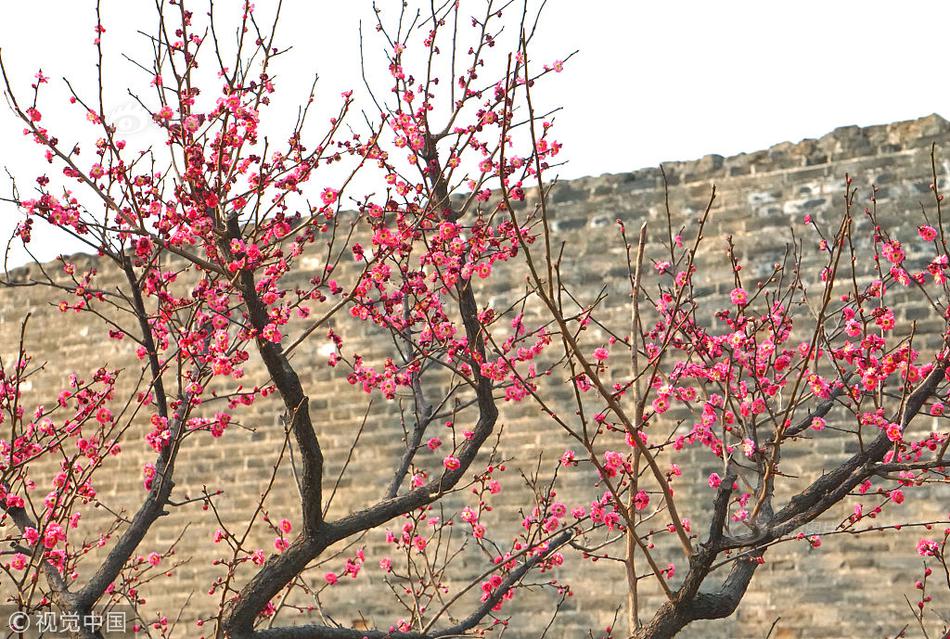 《我哥》by劉水水