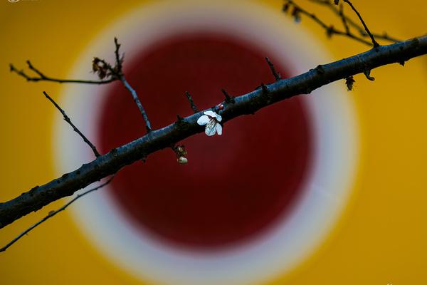 m懲罰表(非常嚴(yán)格極端,上學(xué)的時候)