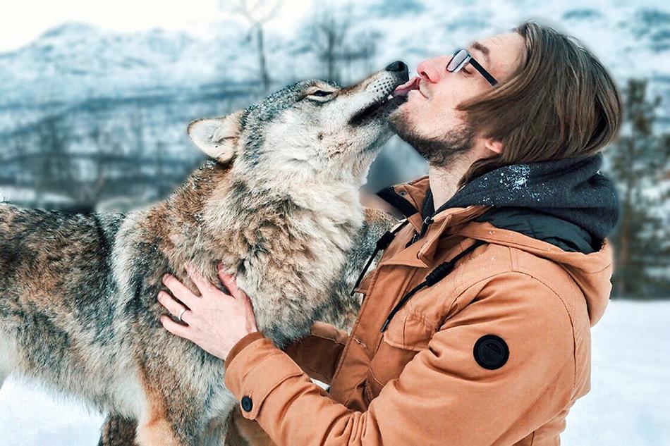 C到她乖黑暗森林TXT下載