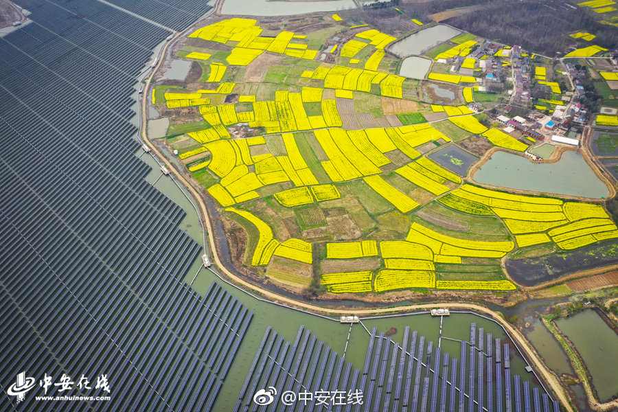 穿成軍校np文里的男配小說