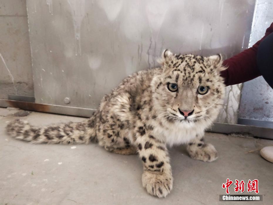 筆趣閣言情最好看的小說總點擊榜