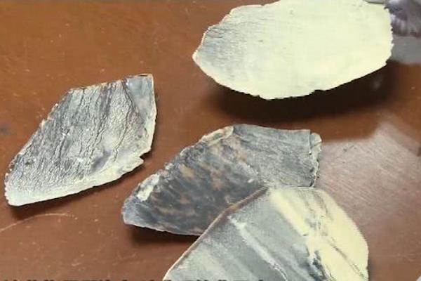 啄木鳥小說txt百度網(wǎng)盤