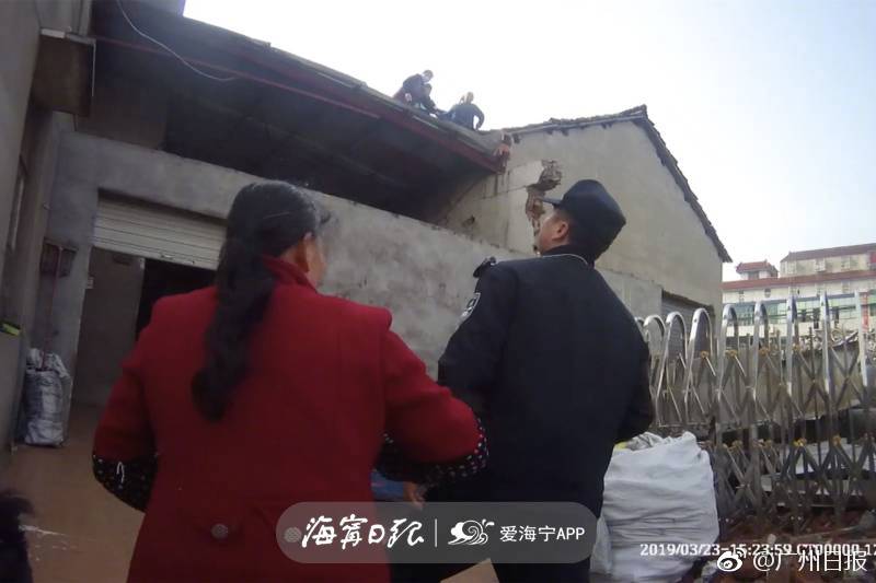 《假惺惺》by無罪國度在線閱讀