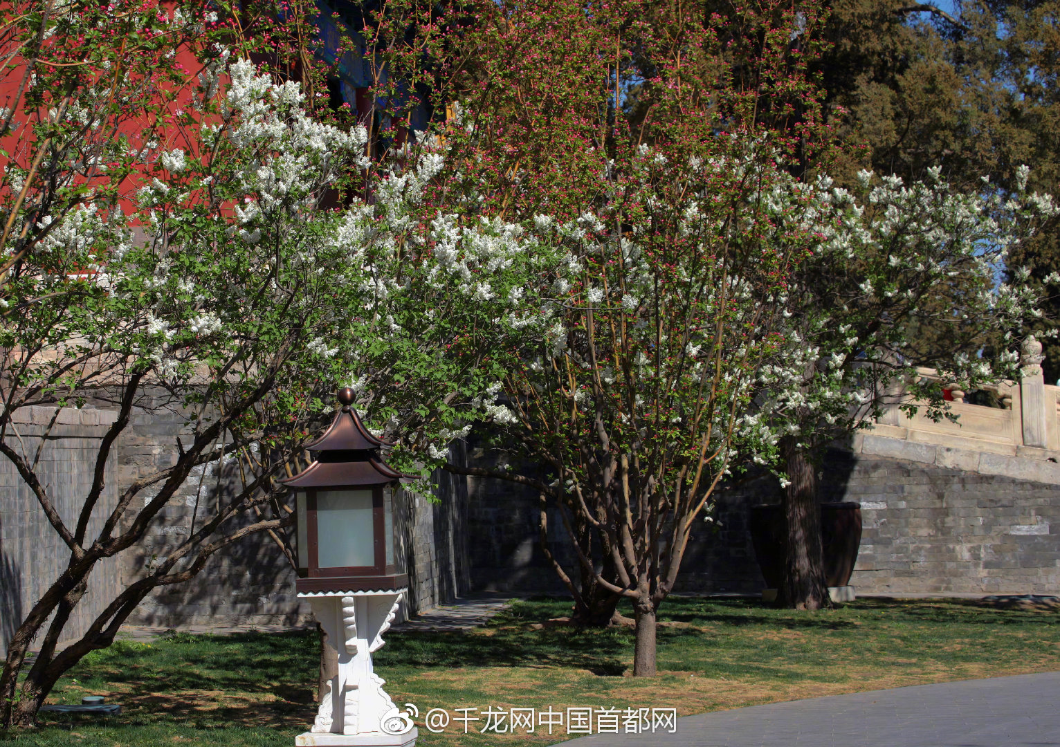 《喜神》by林顏txt