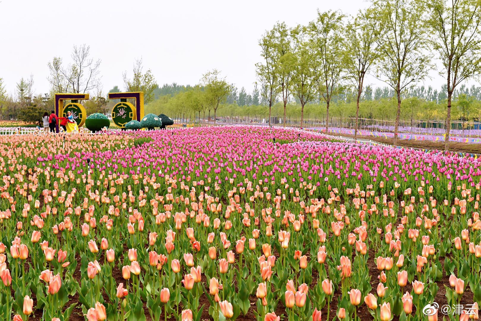 飴糖sosour小說(shuō)筆趣閣