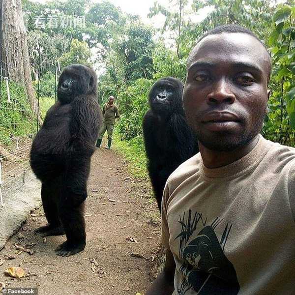 《招惹》by一枝獨秀