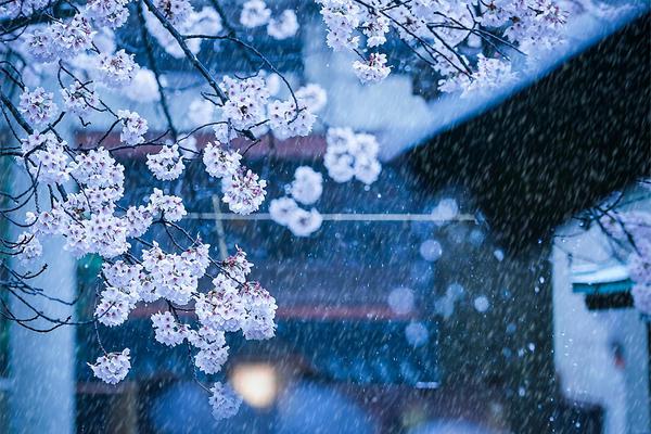 塵緣1v3謝懷瑾筆趣閣