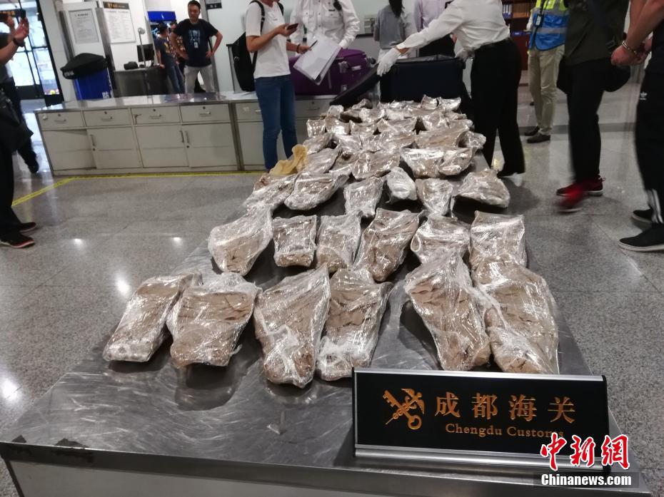 與狼共枕txt 葉落無心