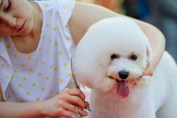 反派他過分美麗by騎鯨南去筆趣閣無彈窗