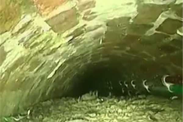 潮汐小說by芙玖晉江