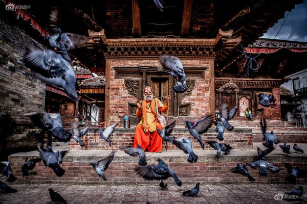 被大佬們強制愛了by全文閱讀