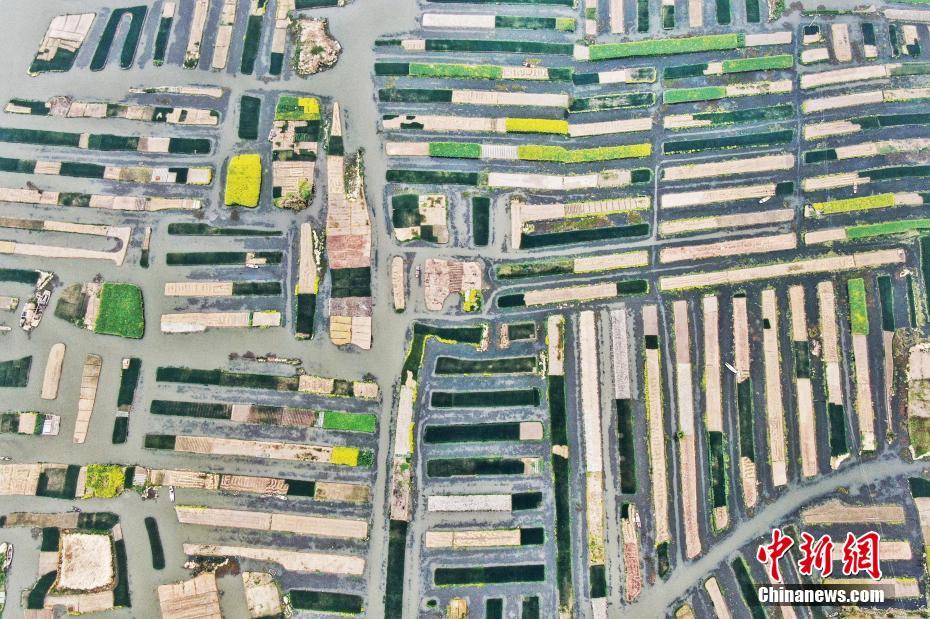 芙蓉帳里玉生香