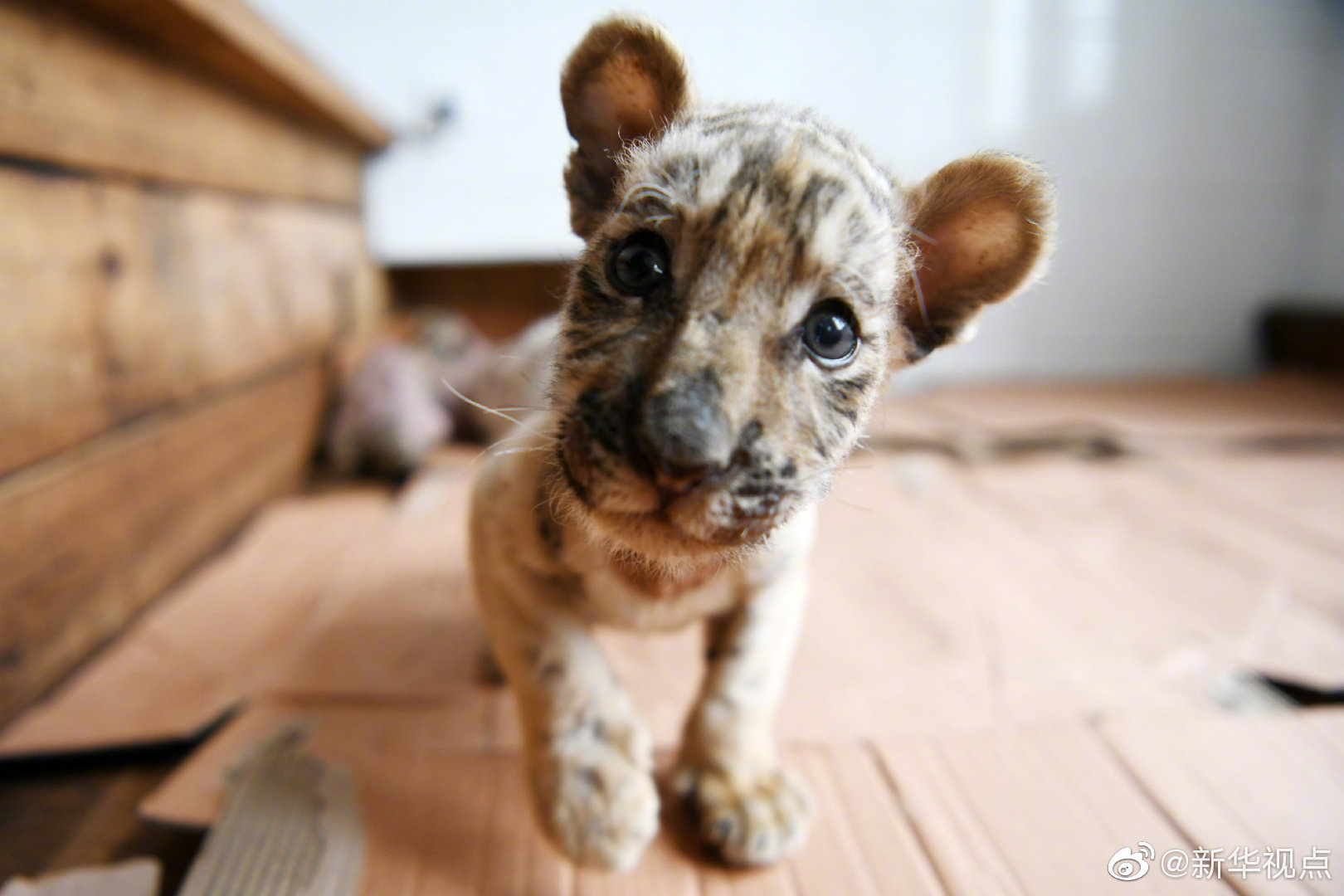 和前男友分手后(1V1)結局