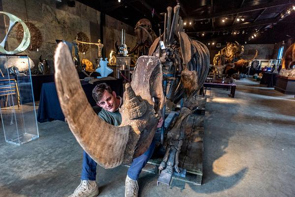 《至此不逾》by法拉栗txt