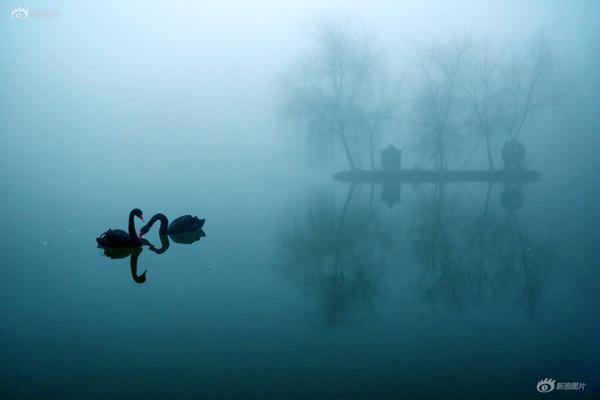 墜入紅塵夢(古言1v2)