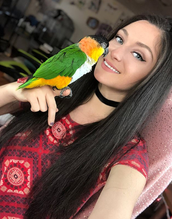 《(末世)重生之合歡訣》番外