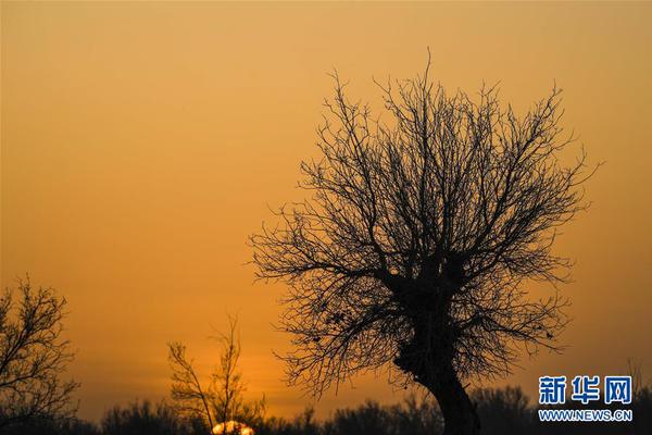 一頭母豬黃金圣斗士廢文