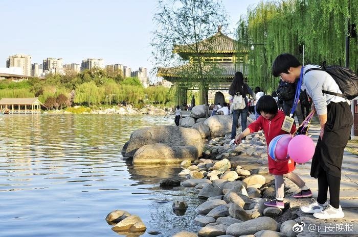 非凡人生txt pan.