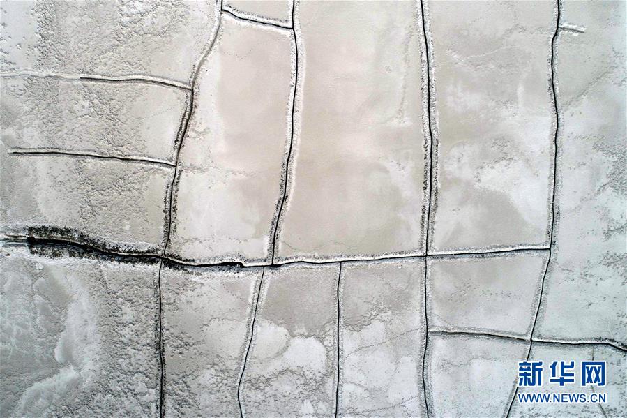 (雙男主,兄弟,年上)