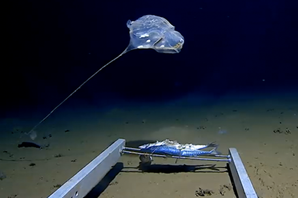 哥兒逃荒by棠梨煎蛋免費閱讀