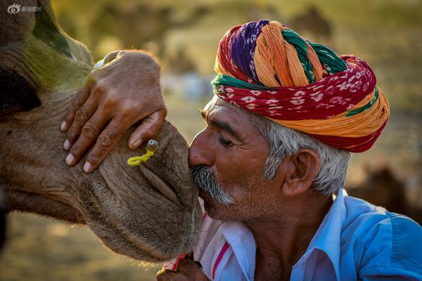 overflow第一季無馬賽的選集